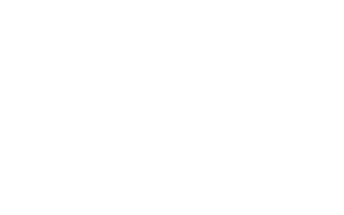 PRESIDENCE REALTY